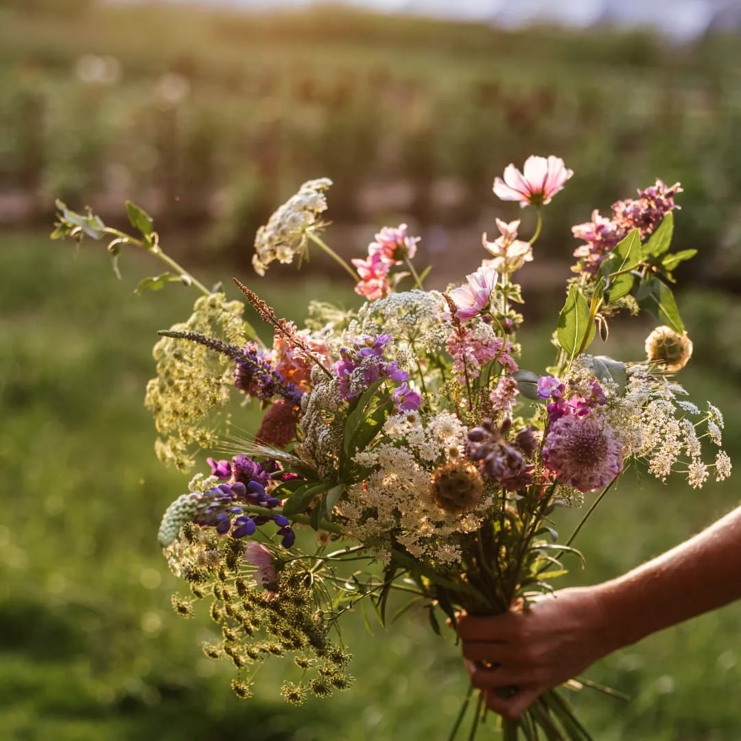 zondag 28 september 2025 - 14:30 t/m 16:30 - Aan de slag met biologische bloemen