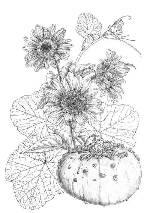 donderdag 11 december 2025 - 14:00 t/m 18:00 - Inleiding Botanisch tekenen